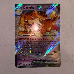 Pokemon card dachsbun ex
